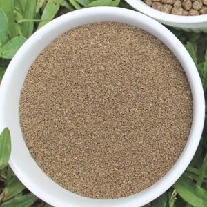 Granulés d’aliments spécialisés pour alevins de tilapia (5 à 30 g), optimisés pour une croissance rapide et une santé optimale.