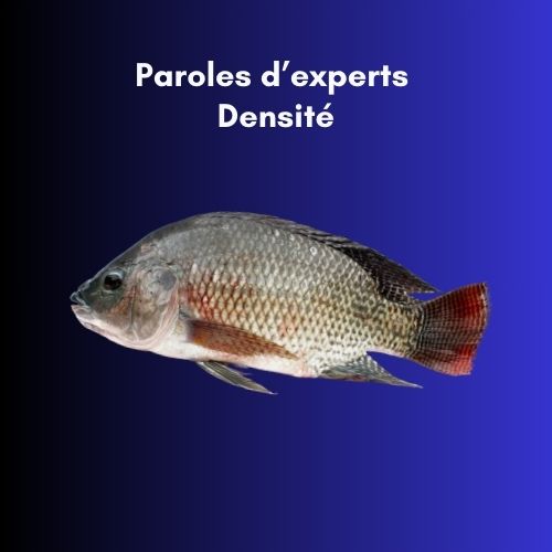 Présentation des méthodes de gestion et de contrôle de la qualité de l’eau pour une aquaculture réussie.