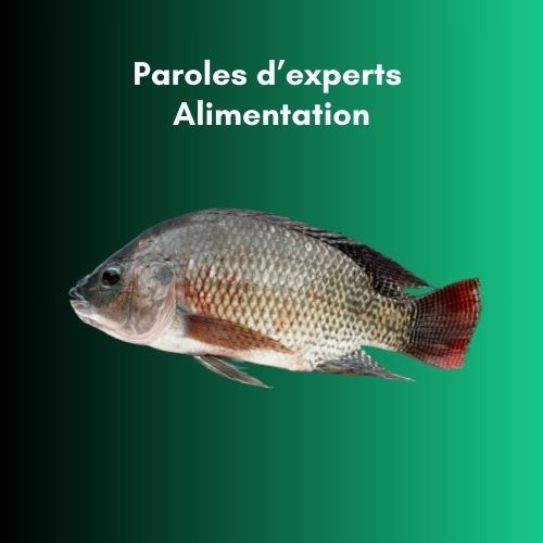 Illustration d’une alimentation équilibrée pour la croissance optimale des poissons dans un environnement aquacole.